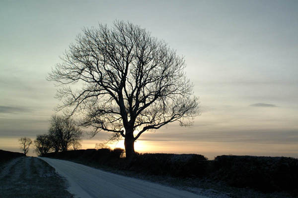 winter road